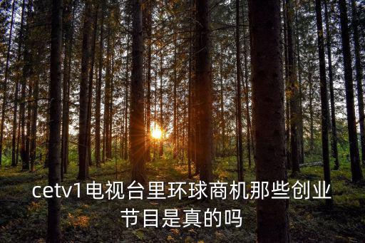 cetv1電視臺里環球商機那些創業節目是真的嗎