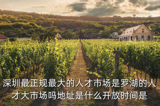 深圳最正規最大的人才市場是羅湖的人才大市場嗎地址是什么開放時間是