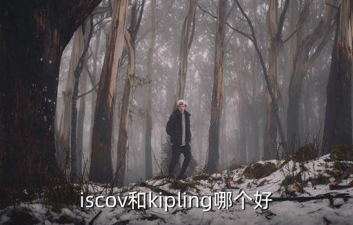 iscov和kipling哪個好
