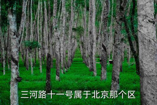 三河路，三河路遛狗事件哪個部門管理