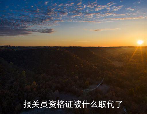 報關員資格證被什么取代了