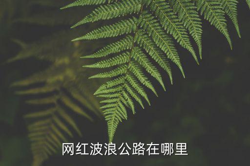 波浪路，貴州網紅波浪路需要門票嗎