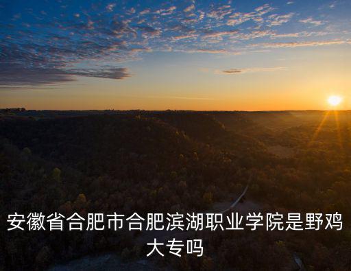 濱湖學院，合肥濱湖職業技術學院怎么樣 好不好