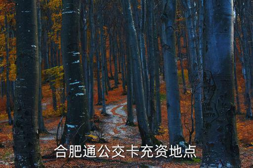 合肥通公交卡充資地點