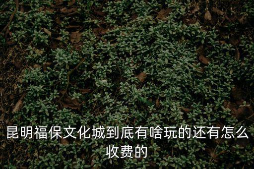 福保文化城，昆明福保文化城到底有啥玩的還有怎么收費(fèi)的