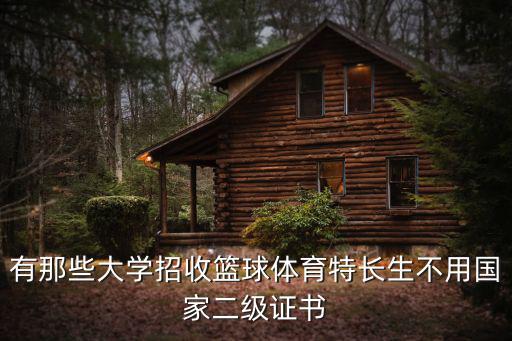有那些大學招收籃球體育特長生不用國家二級證書