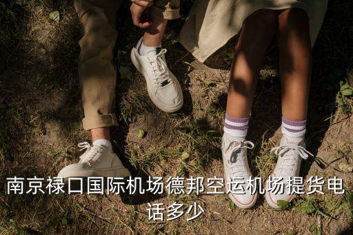 南京祿口國際機場德邦空運機場提貨電話多少