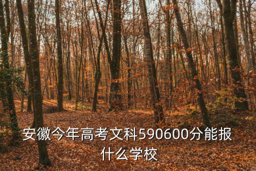 安徽今年高考文科590600分能報 什么學校