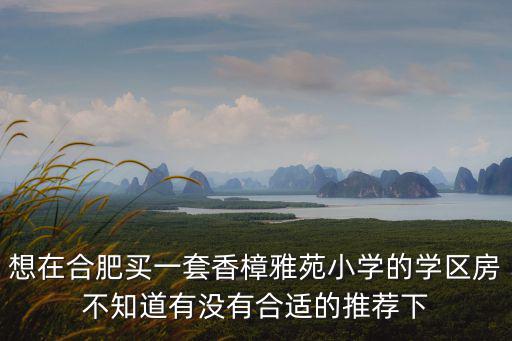 想在合肥買一套香樟雅苑小學的學區房不知道有沒有合適的推薦下