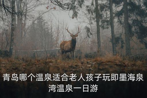 青島哪個溫泉適合老人孩子玩即墨海泉灣溫泉一日游