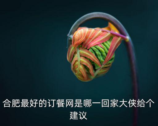 合肥最好的訂餐網(wǎng)是哪一回家大俠給個建議