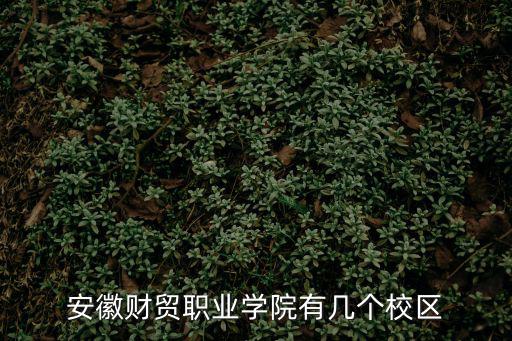 安徽財貿職業學院有幾個校區
