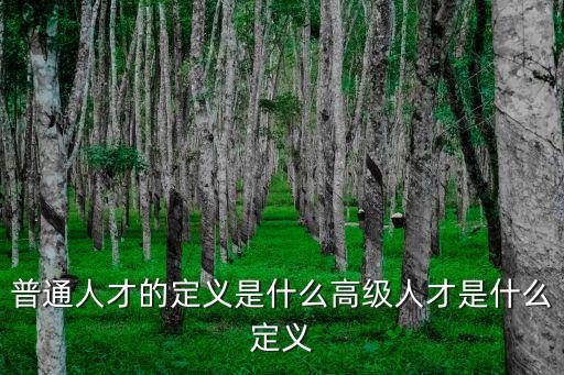 高級人才，普通人才的定義是什么高級人才是什么定義