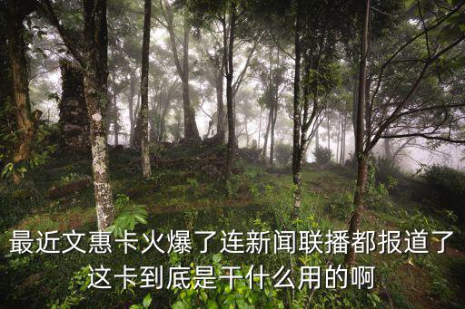 文惠卡，文惠卡是實名制的嗎