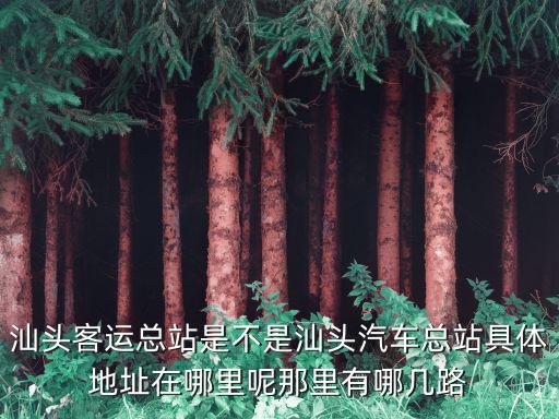汕頭客運總站是不是汕頭汽車總站具體地址在哪里呢那里有哪幾路