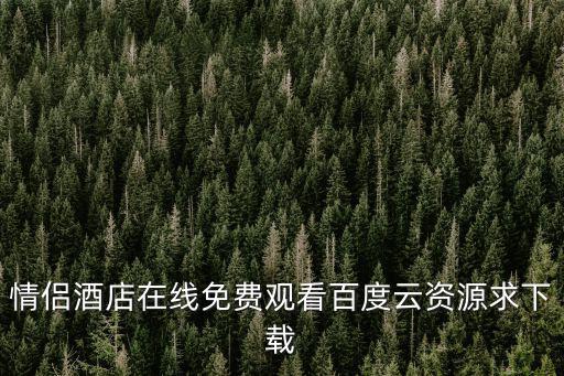 情侶酒店，什么是情侶酒店