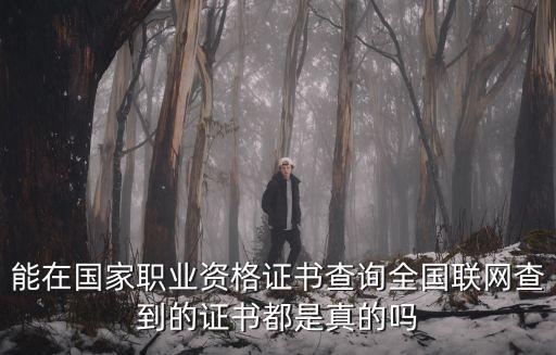 能在國家職業(yè)資格證書查詢?nèi)珖?lián)網(wǎng)查到的證書都是真的嗎