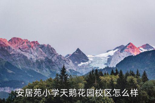 安居苑小學(xué)天鵝花園校區(qū)怎么樣