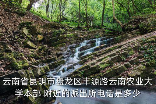 云南省昆明市盤龍區豐源路云南農業大學本部 附近的派出所電話是多少