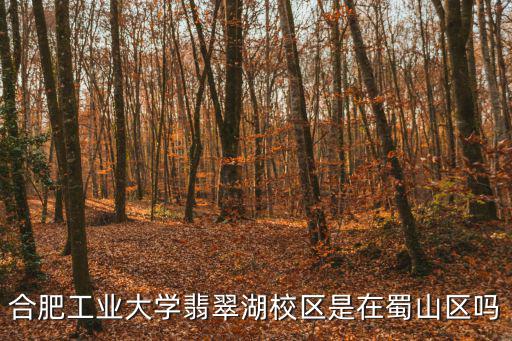 合工大翡翠湖校區，合肥工業大學翡翠湖校區是在蜀山區嗎