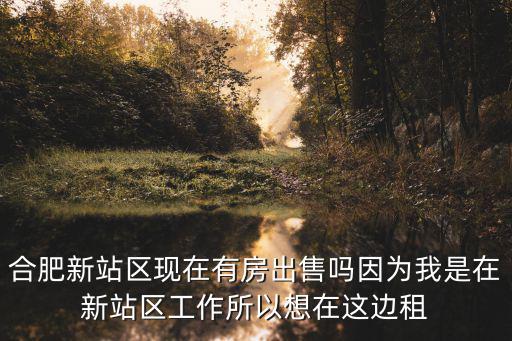 合肥新站區(qū)現(xiàn)在有房出售嗎因?yàn)槲沂窃谛抡緟^(qū)工作所以想在這邊租