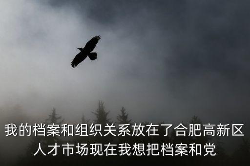我的檔案和組織關系放在了合肥高新區人才市場現在我想把檔案和黨