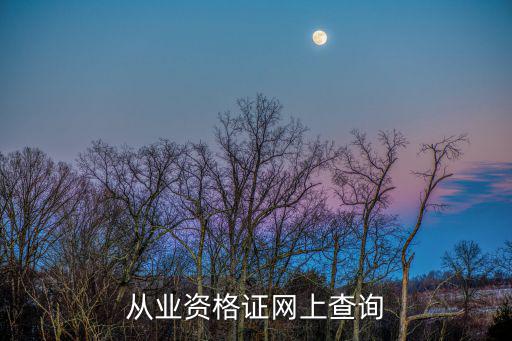 從業資格證網上查詢
