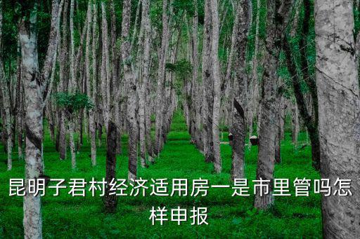昆明子君村經濟適用房一是市里管嗎怎樣申報