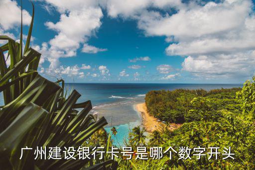 廣州建設銀行卡號是哪個數字開頭