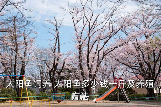 太陽魚飼養 太陽魚多少錢一斤及養殖方法