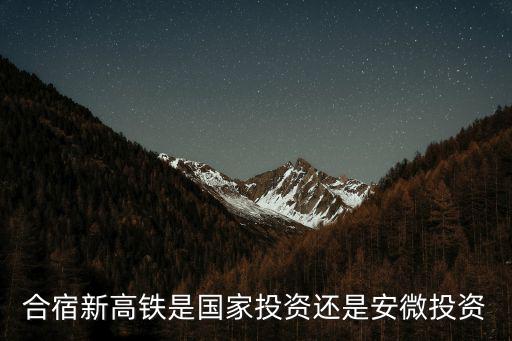 合宿新高鐵是國(guó)家投資還是安微投資