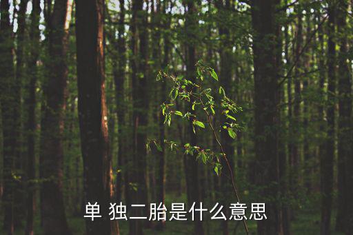 單 獨二胎是什么意思