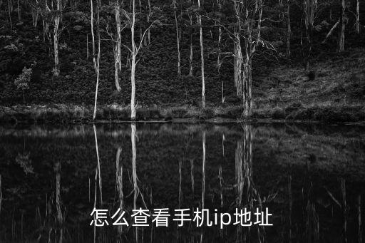 怎么查看手機ip地址
