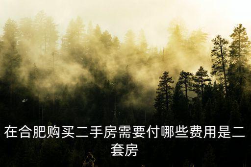 在合肥購買二手房需要付哪些費用是二套房