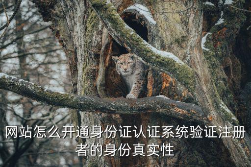 身份證驗證系統(tǒng)，網(wǎng)站怎么開通身份證認證系統(tǒng)驗證注冊者的身份真實性