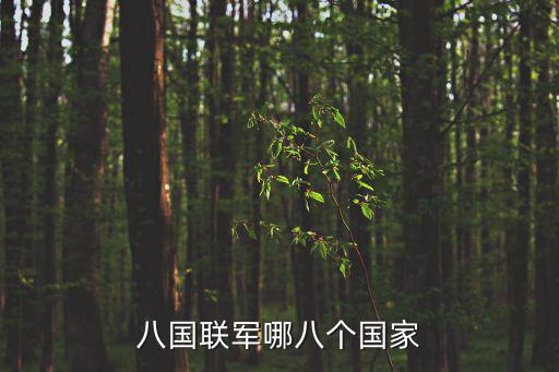 八國聯軍哪八個國家