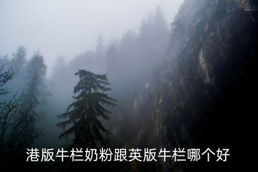 港版牛欄奶粉跟英版牛欄哪個(gè)好