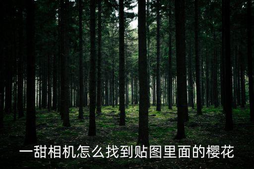 尋找櫻花，一甜相機的櫻花樹在哪里找