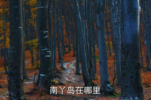 南丫島，南丫島的簡介