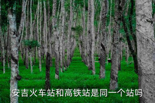 安吉火車站和高鐵站是同一個站嗎
