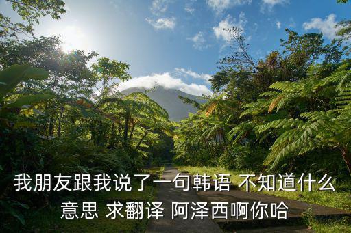 我朋友跟我說了一句韓語 不知道什么意思 求翻譯 阿澤西啊你哈