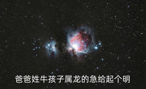 爸爸姓牛孩子屬龍的急給起個(gè)明