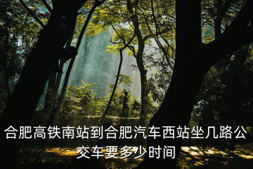合肥高鐵南站到合肥汽車西站坐幾路公交車要多少時間