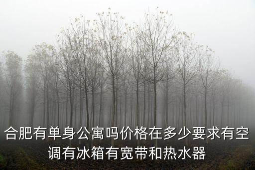 合肥有單身公寓嗎價格在多少要求有空調有冰箱有寬帶和熱水器