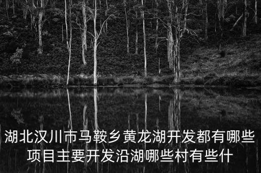 湖北漢川市馬鞍鄉黃龍湖開發都有哪些項目主要開發沿湖哪些村有些什