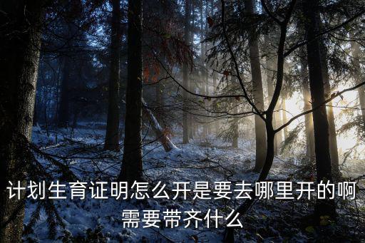 計生證明，計劃生育證明怎么開是要去哪里開的啊需要帶齊什么