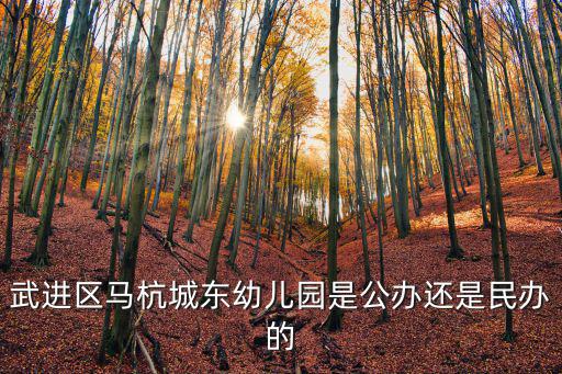 城東幼兒園，百色市右江區城東幼兒園怎么樣