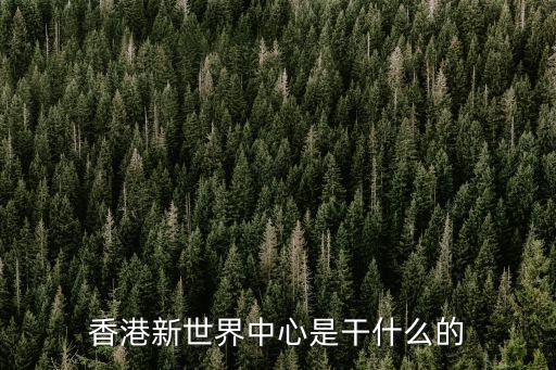香港新世界中心是干什么的