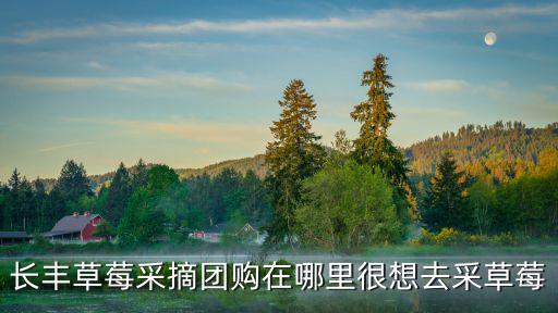 長豐草莓采摘團購在哪里很想去采草莓