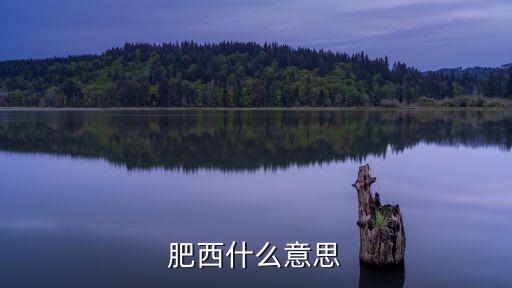 肥西什么意思